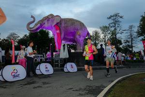 BIB: 
                            <button type="button" onclick="openModal(26529532)" class="btn btn-primary btn-sm float-right btn-popup" data-toggle="modal" data-target=".modal-high-quality">
                        <i class="fas fa-shopping-cart"></i> Add to Cart
                    </button>
                                            <button type="button" onclick="isThisMe(26529532, true)" class="btn btn-success btn-sm float-right btn-popup btn-isme hidden" data-toggle="tooltip" data-placement="bottom" title="นี่คือรูปของคุณใช่ไหม คลิกที่นี่เพื่อเอาเข้าอัลบั้ม">
                        <i class="fas fa-plus"></i> Add to album
                    </button>
                    <button type="button" onclick="isThisMe(26529532, false)" class="btn btn-warning btn-sm float-right btn-popup btn-isnotme hidden">
                        <i class="fas fa-ban"></i> Remove from album
                    </button>